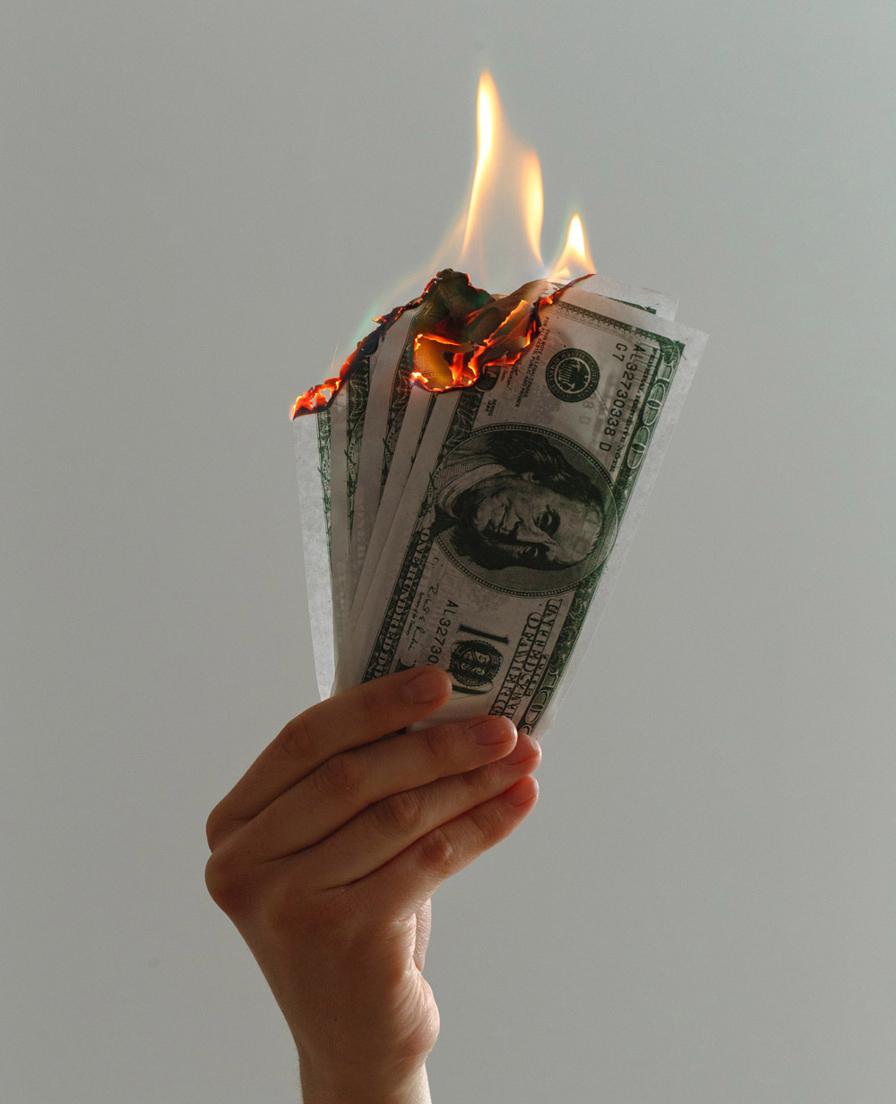 money-2 ann sheybani
