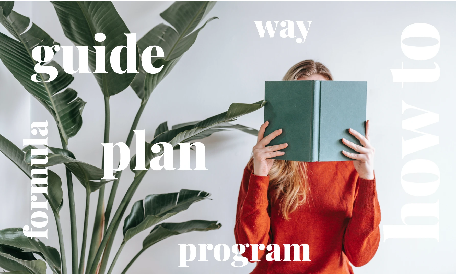 plan_3x