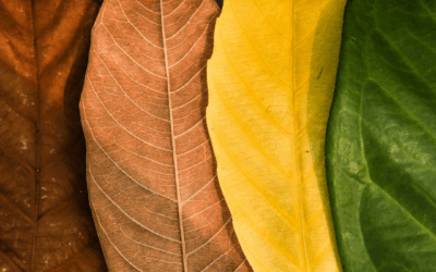 The best piece of advice I ever received