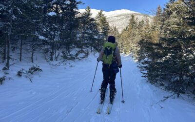 Better the devil you know