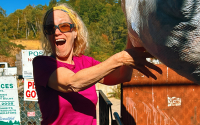 Your Achilles heel is boring