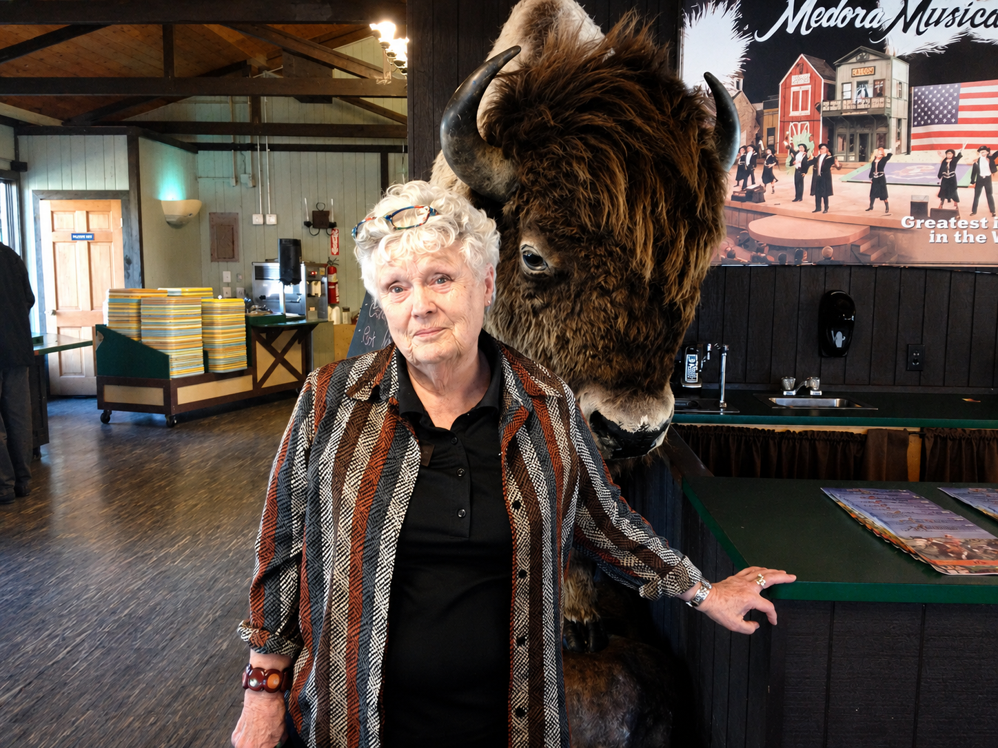 Photo of Ann Sheybani's author