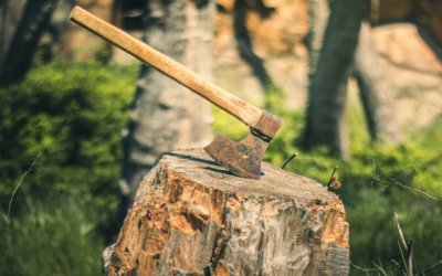 The woodcutter who wouldn’t take my money