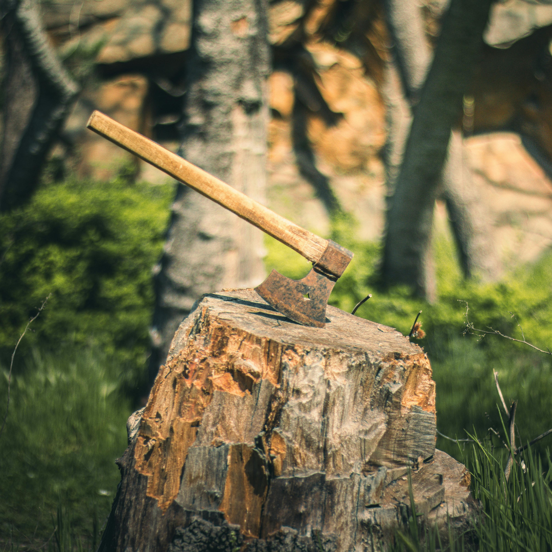 The woodcutter who wouldn’t take my money Photo of an axe in a wood symbolizing the job of a woodcutter